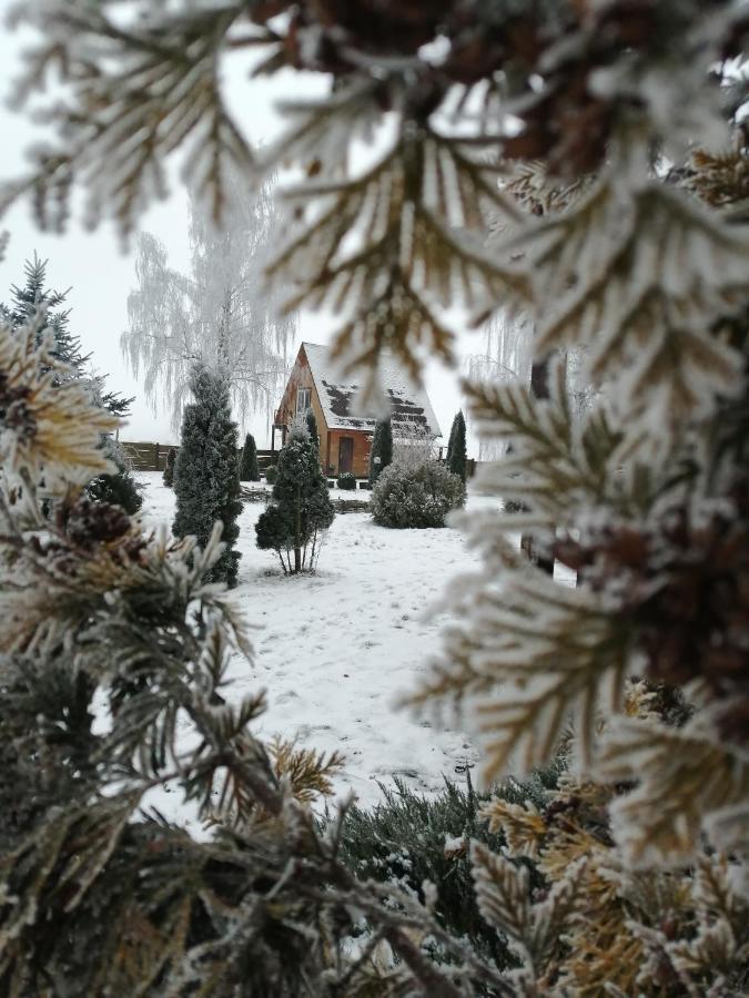 Usadba Kupalinka Hotel Ostrovo Buitenkant foto