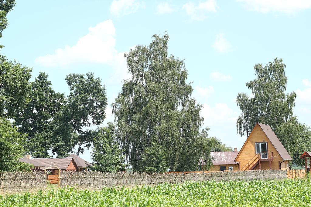 Usadba Kupalinka Hotel Ostrovo Kamer foto