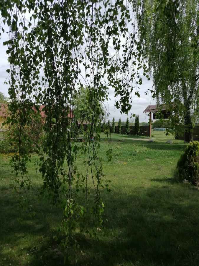 Usadba Kupalinka Hotel Ostrovo Buitenkant foto